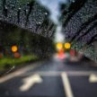 Looking through a car window at the road ahead. Rain is on the windshield but has been partially cleared away by the windshield wiper.
