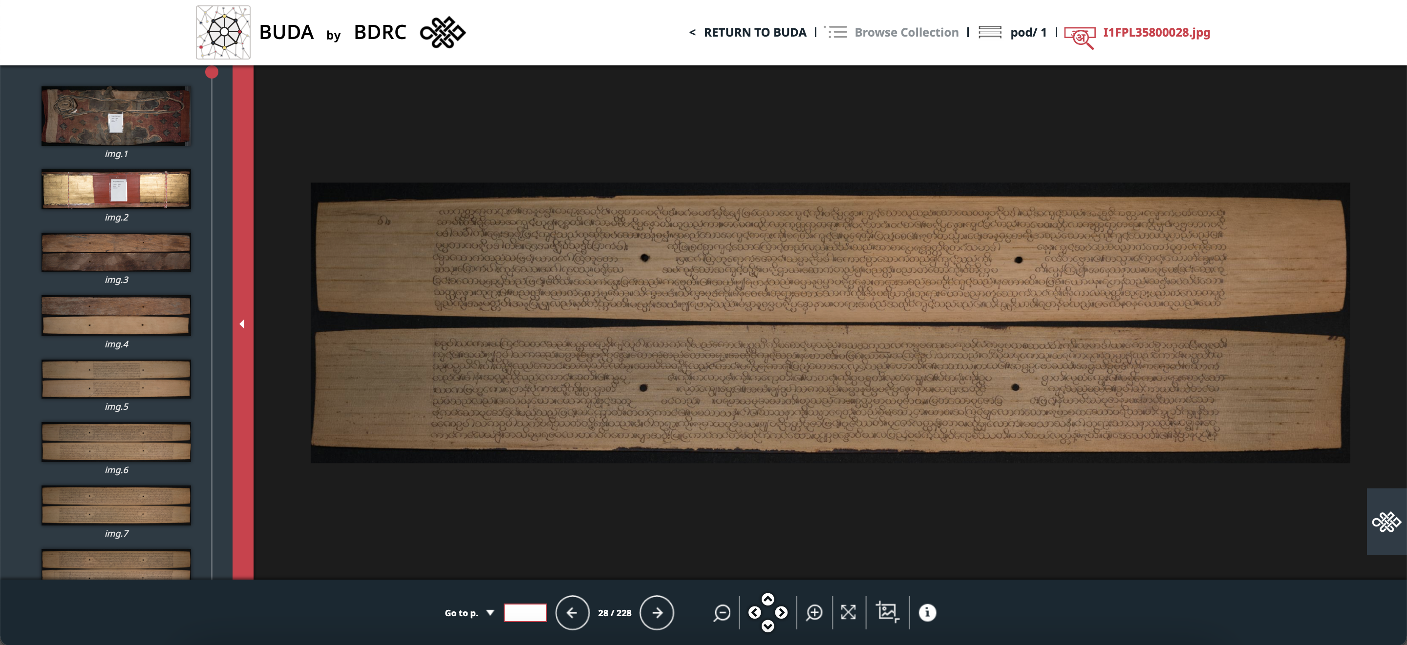 Two old palm leaf pages with script